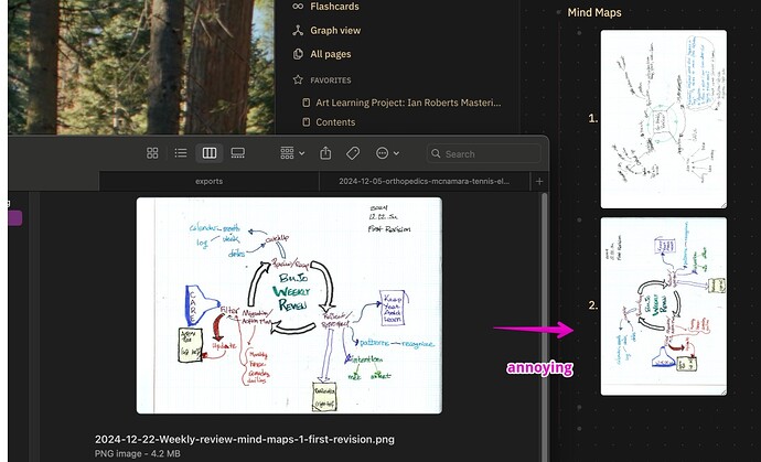 logseq-image-bad-rotation